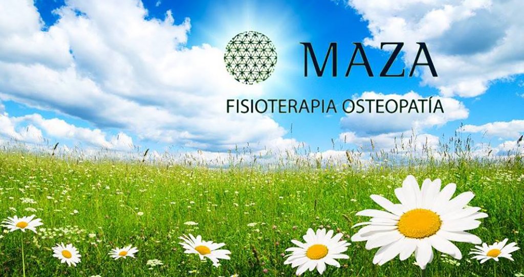 MAZA Fisioterapia Osteopatía - Fisioterapia y Osteopatía en Bilbao