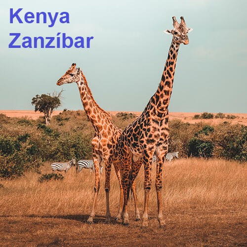Kenya y Zanzibar