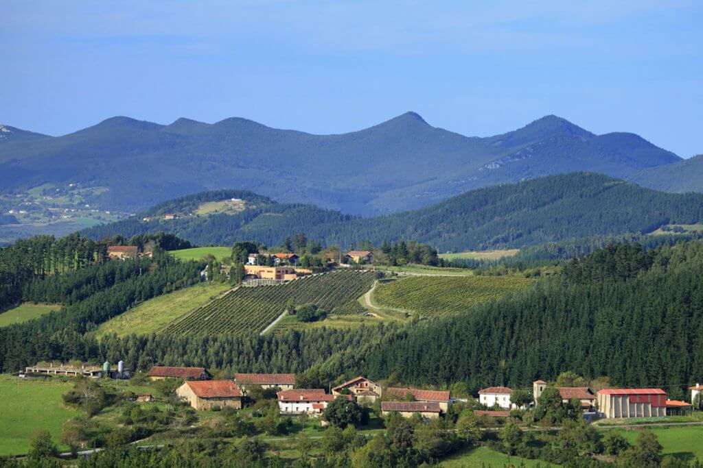 Berroja Winery. a Privilege for the Senses very near Bilbao - Bodega Berroja Txakoli en plena Reserva de la Biosfera de Urdaibai