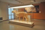 The Archaeological Museum of Bilbao shows the history of Bizkaia through the traces left by its inhabitants from prehistoric to recent times. - Museo Arqueológico de Bilbao