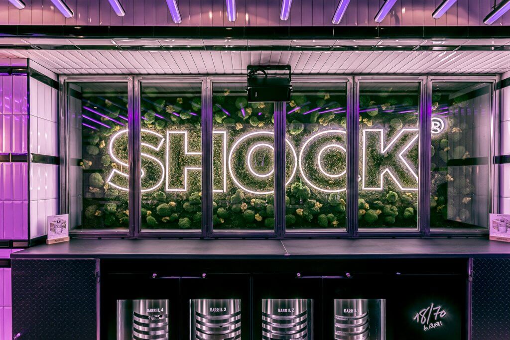 SHOCK Discover a new concept of leisure in Bilbao %%sep%% %%sitename%% - Shock Bilbao