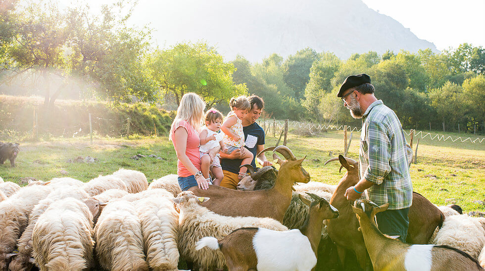 El pastor Patxi Solana nos invita a compatir su día a día en Alluitz Natura, un caserío ubicado en uno de los paisajes más impresionantes de Euskadi, el Parque Natural de Urkiola. 