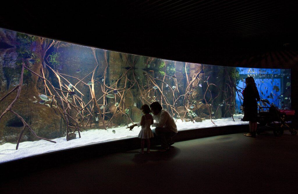 Aquarium Donostia / San Sebastián