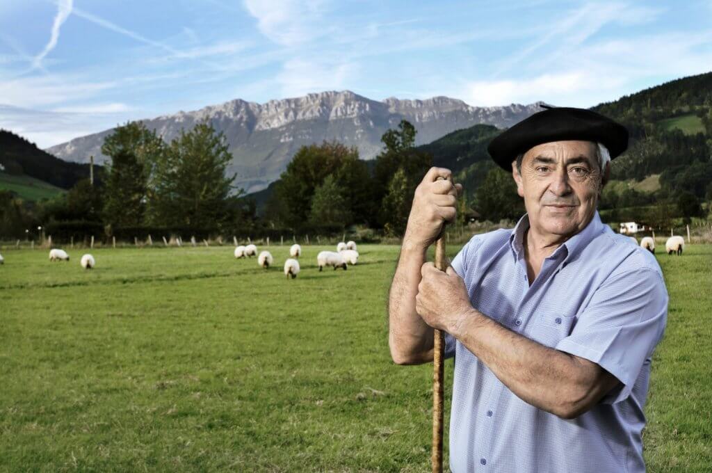 La oveja latxa es originaria de Euskal Herria y se alimenta de hierba fresca en los pastos del Goierri