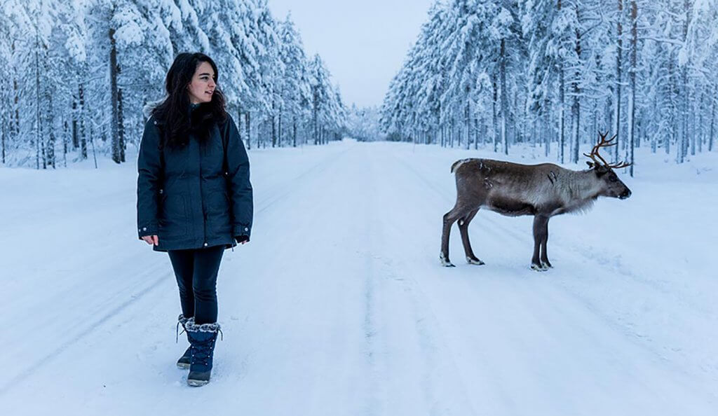 Viaje a Laponia en el puente de diciembre