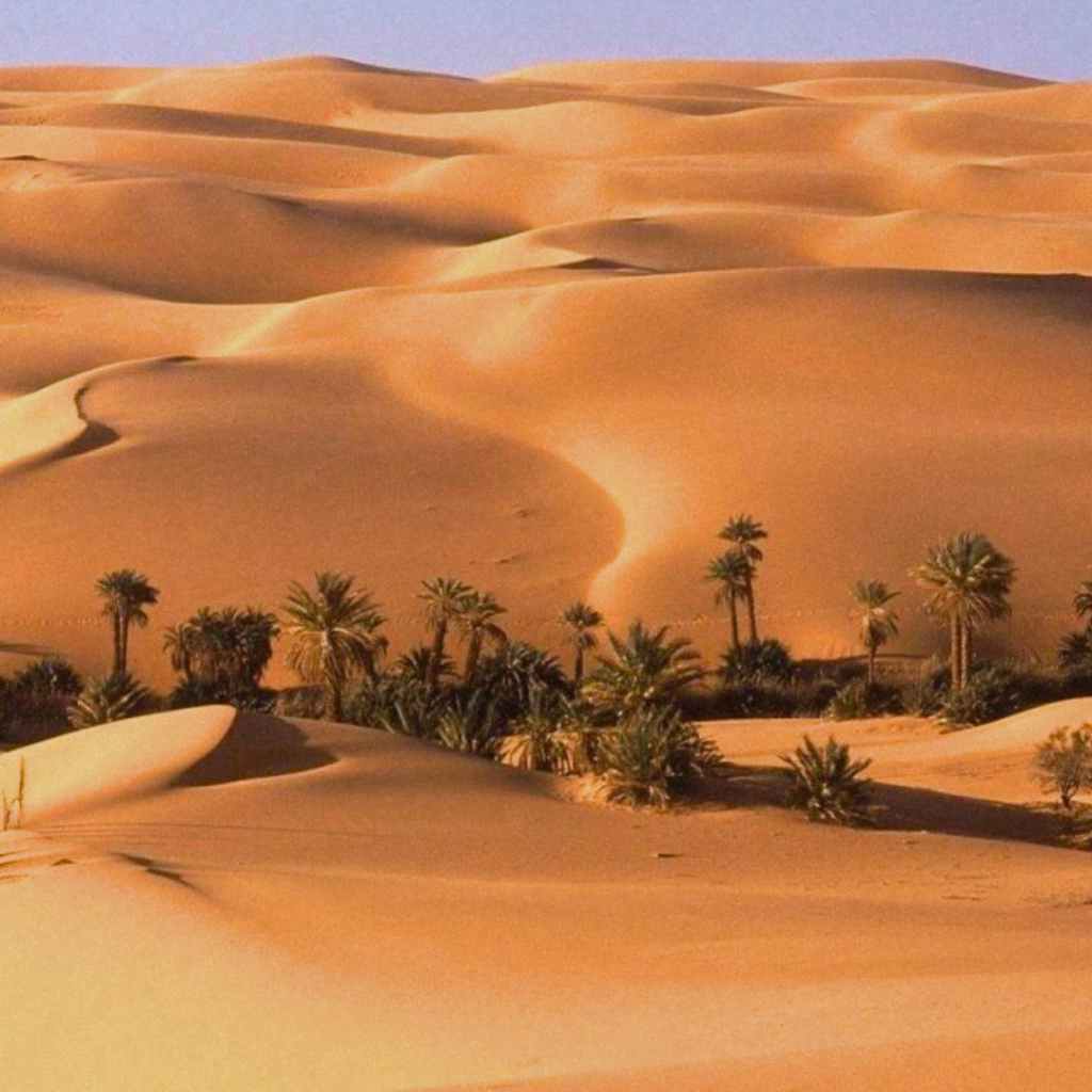 Egipto para Familias - Qualia Viajes