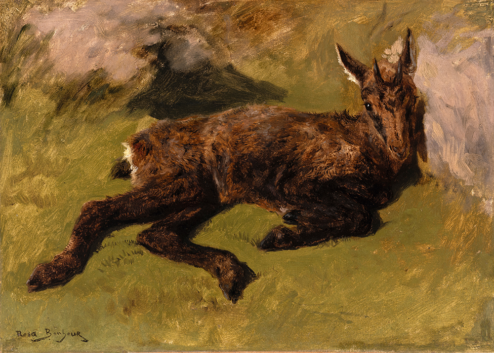 Rosa Bonheur
(1822-1899)
Rebeco echado
c. 1890-1899
Óleo sobre papel adherido a lienzo
Legado de Laureano de Jado en 1927